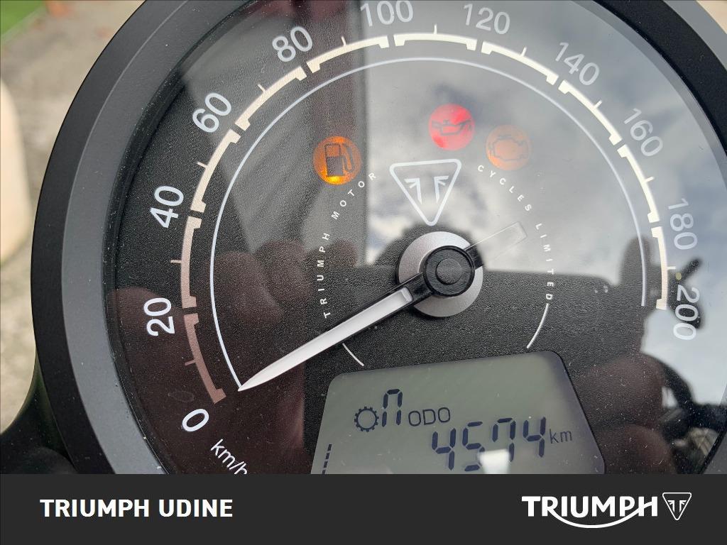 TRIUMPH Street Scrambler 900 Gold Line